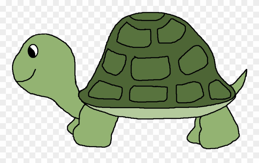 Pond Clip Art - Cartoon Clip Art Turtle - Png Download