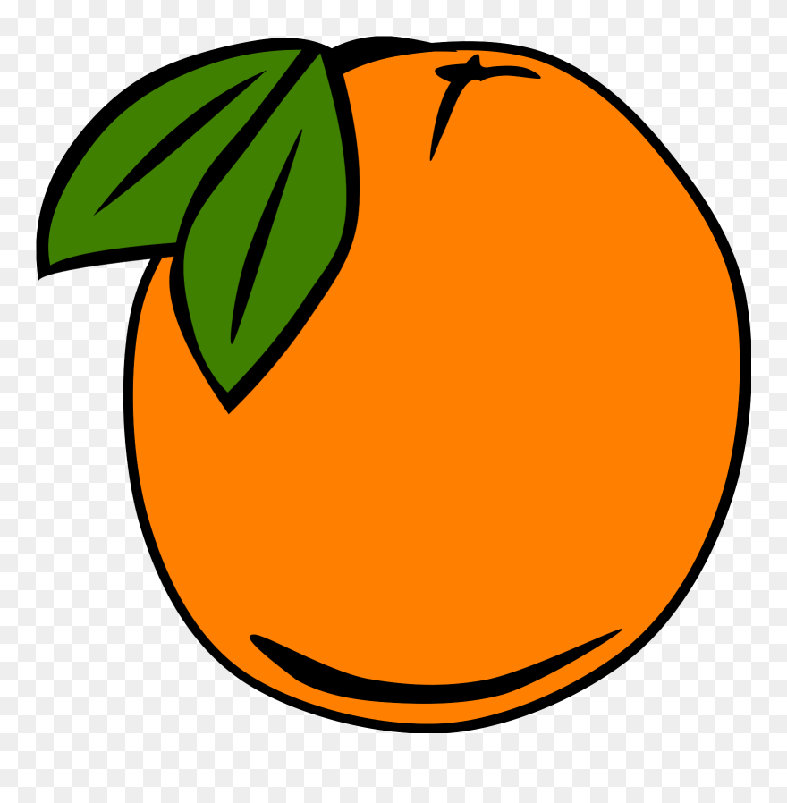 Cartoon Orange Tree - Orange Clip Art - Png Download
