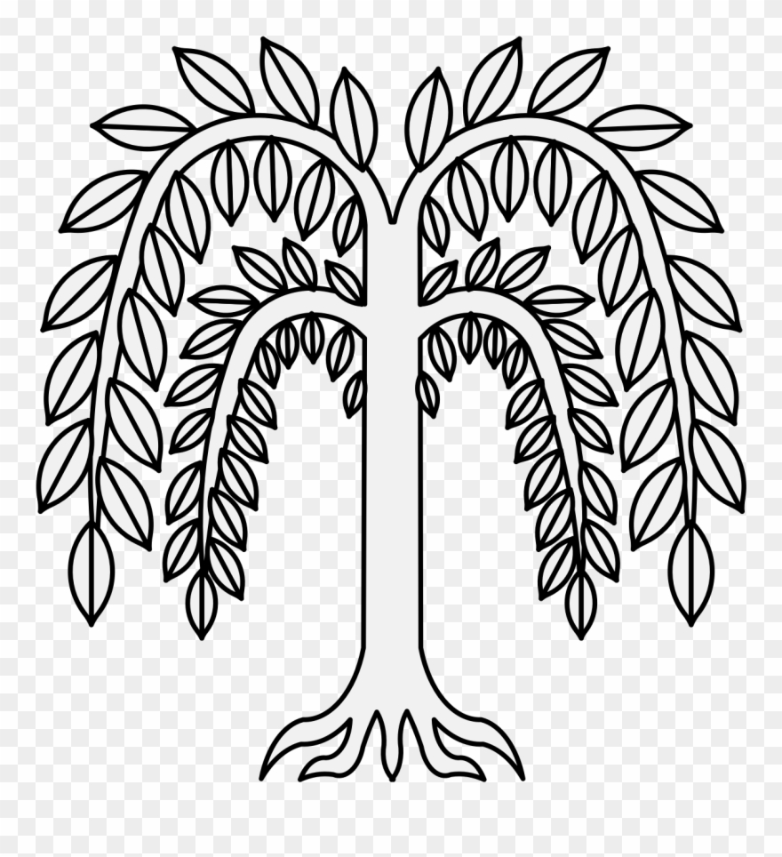 Willow - Willow Tree Clip Art - Png Download