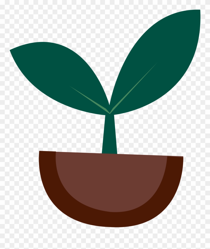 Plant Clipart Tree - Plant Sprout Clipart - Png Download