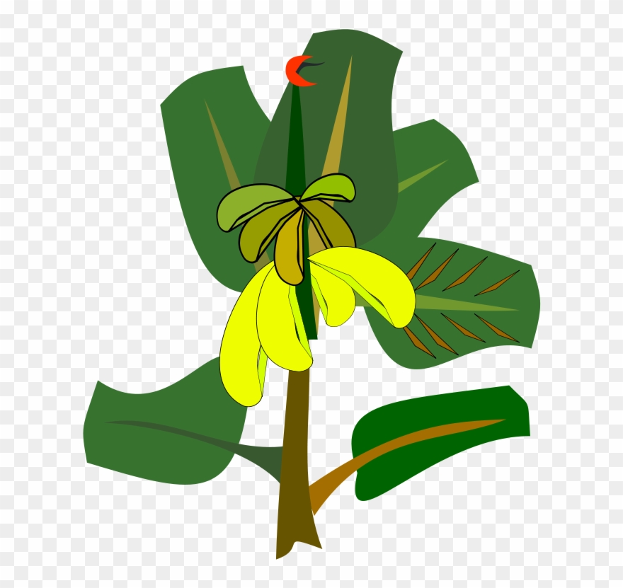 Banana Tree Clip Art - Png Download