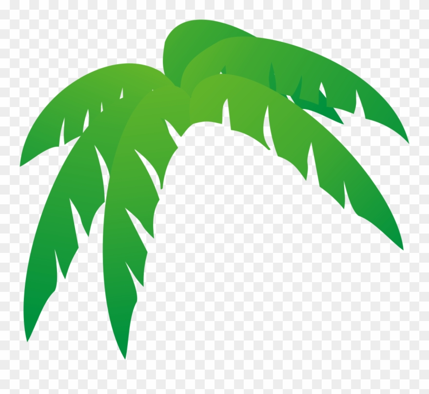 All Photo Png Clipart - Palm Tree Leaves Clip Art Transparent Png