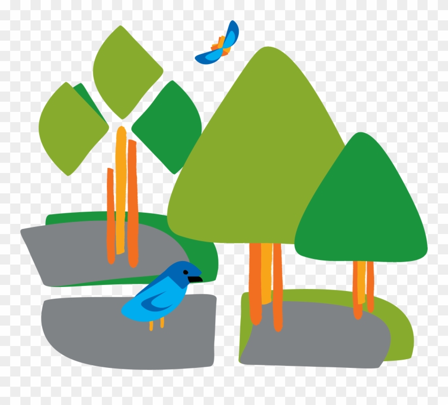 Ever Wondered How To Tell A Beech Tree From A Birch Clipart