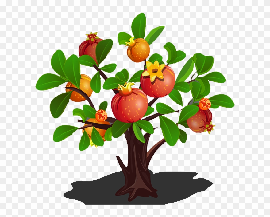 Green Clipart Apple Tree - Pomegranate Tree - Png Download