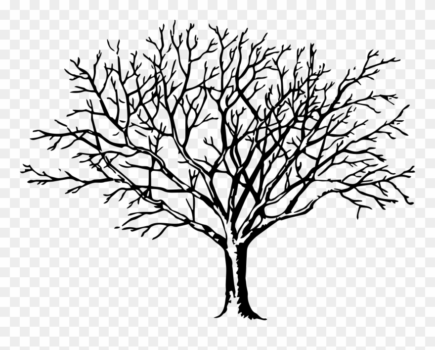 Collection Free Fall Drawing Wind Blown Download - Bare Tree Free Clipart - Png Download