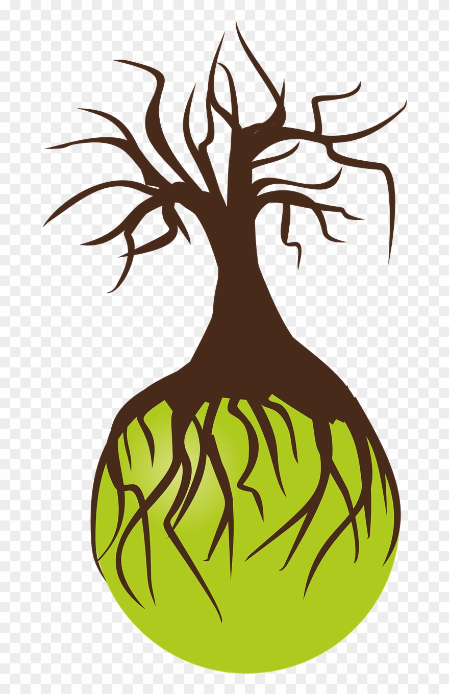 Forest, Tree, Birch, Landscape, Nature, Konar - Halloween Barren And Skulls Clipart