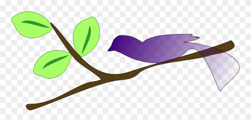 Clipart Info - Tree Branch Clip Art - Png Download