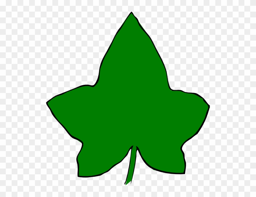 Small - Aka Ivy Leaf Png Clipart