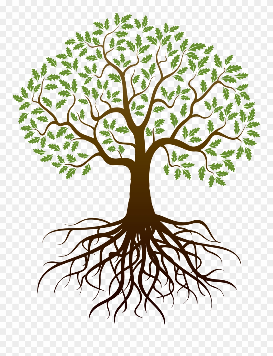 Old Drawing Apple Tree - Tree With Roots Png Clipart