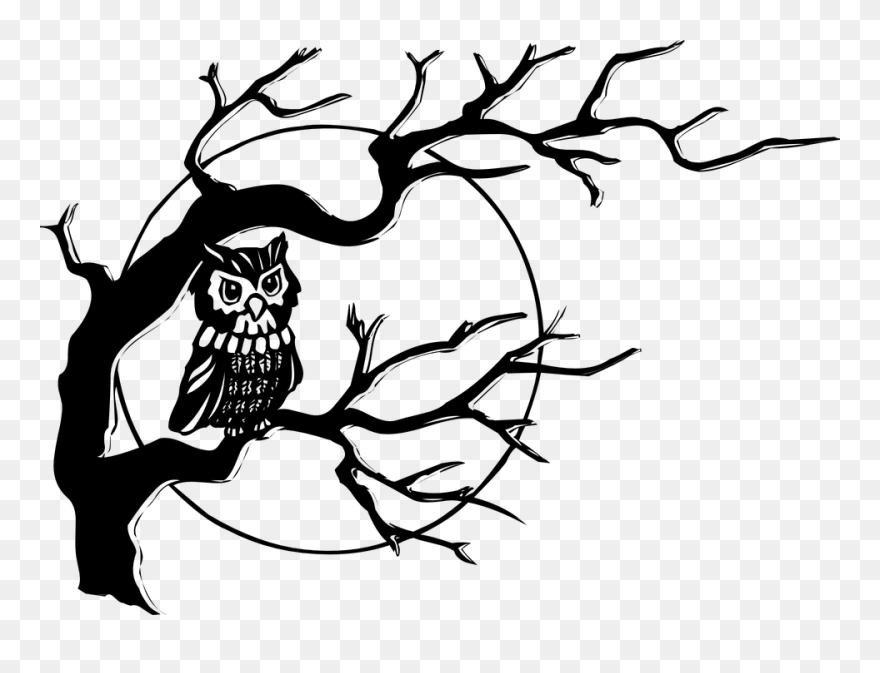Tree Black And White Simple Black And White Tree Branches - Owl On A Tree Drawing Clipart