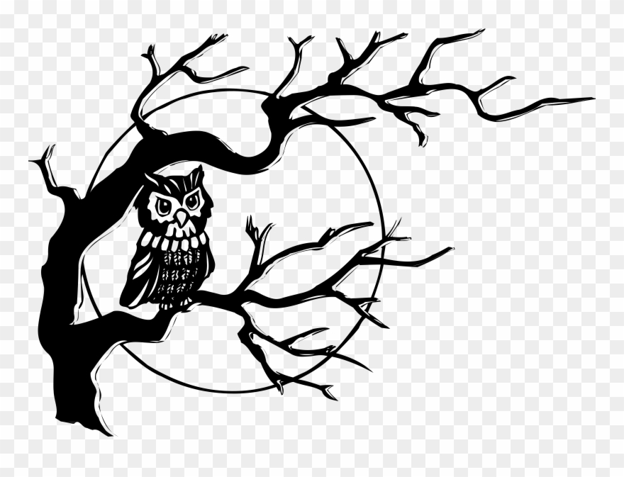 Big Image Png - Owl On A Tree Drawing Clipart