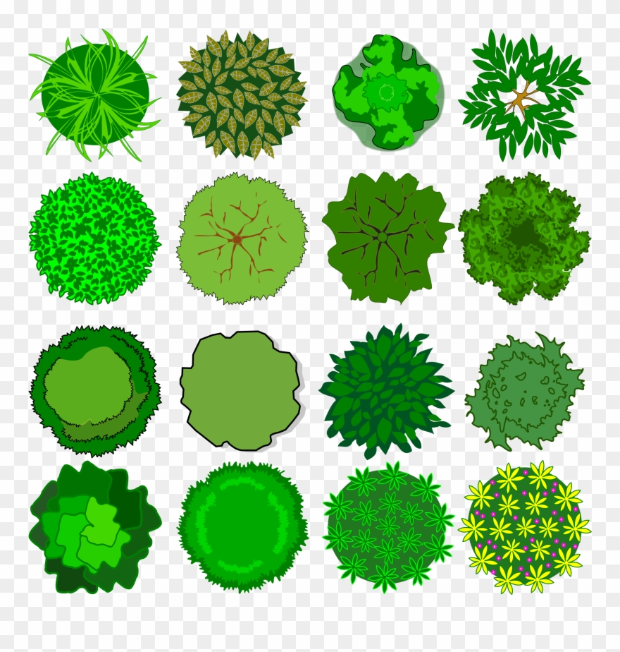 Top Of Tree Clipart - Hong Kong Dollars Coins - Png Download