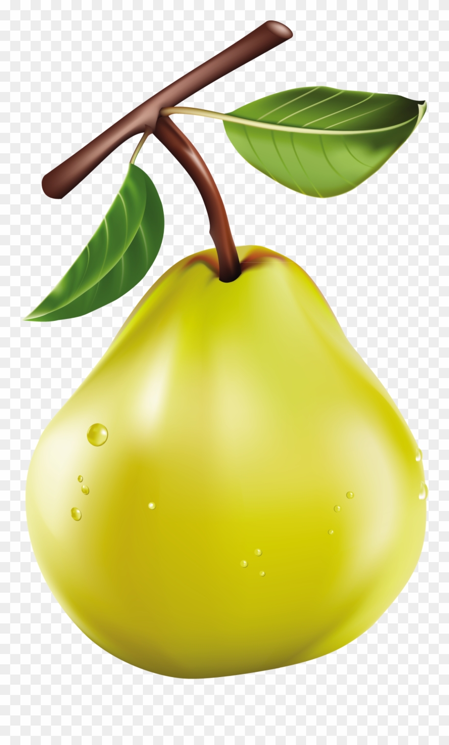 Clip Art Transparent Stock Pin By D Ceylan On Sebze - Clipart Sebze Ve Meyve - Png Download