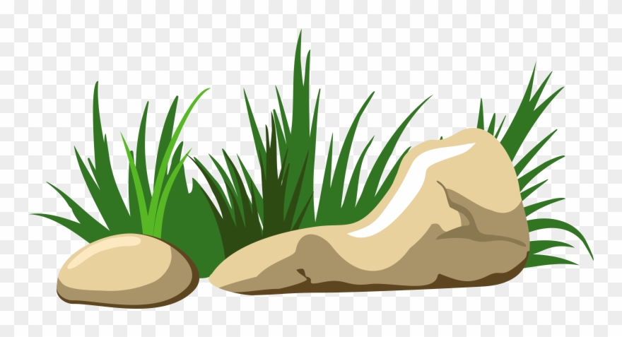 Tree Clipart Clipart Clear Background - Clipart Rocks And Stones - Png Download
