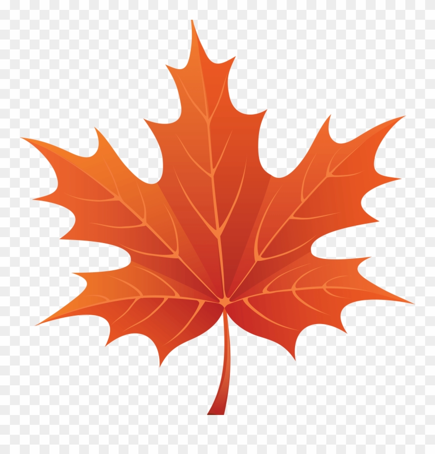 Maple Leaf Clipart Clip Art Clipartion Com 2 Clipartix - Autumn Leaf Png Clipart Transparent Png