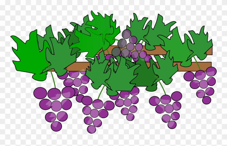 Grape Clip Art Free Clipart Image Image - Grapes Vineyard Clipart - Png Download