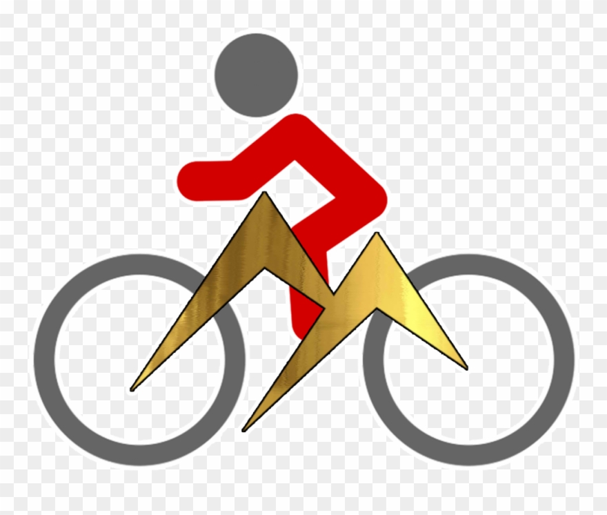 By Birch Trees And Conifers, Through Green Grassy Areas - Hybrid Bicycle Clipart