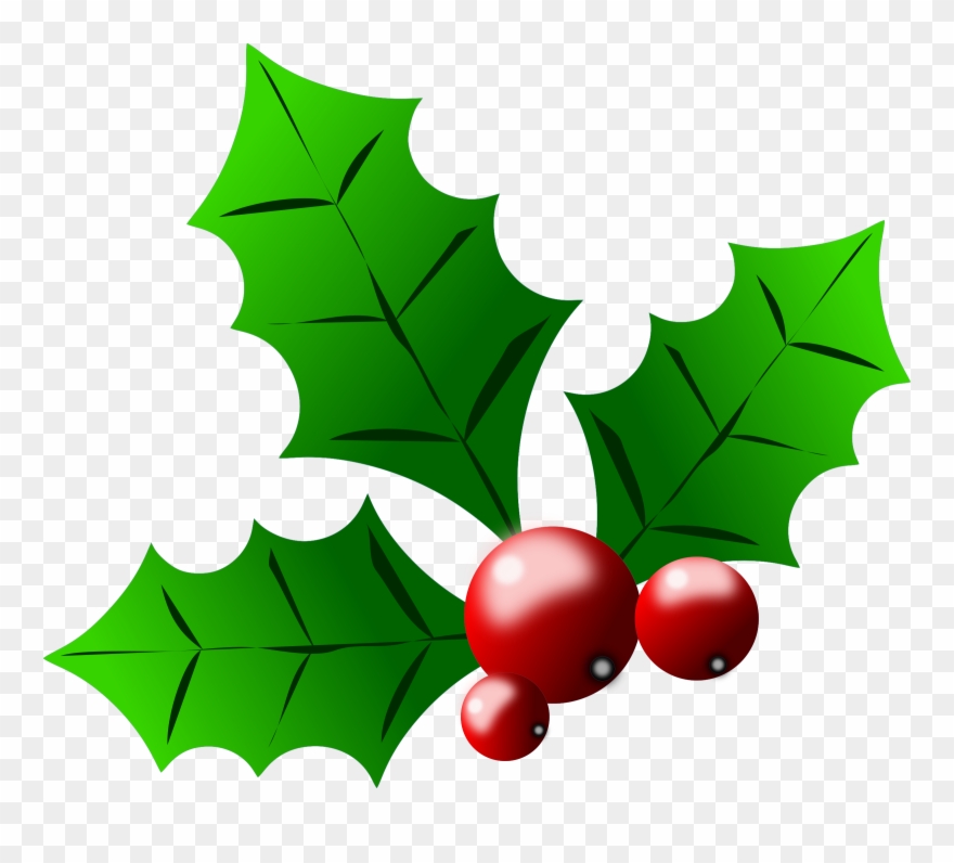 Big - Christmas Holly Clipart - Png Download