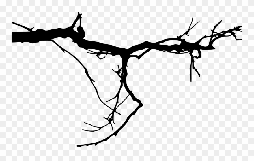 Clipart Freeuse Simple Tree Silhouettes - Tree Branches Transparent Background - Png Download