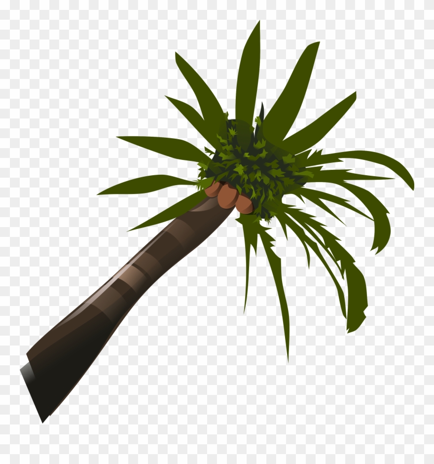 Free Vector Palm Tree Clip Art - Palm Tree Clip Art - Png Download