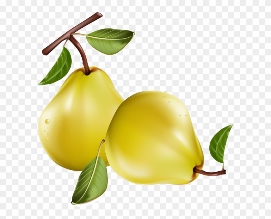 Cliparts Fruits Automne - Png Download