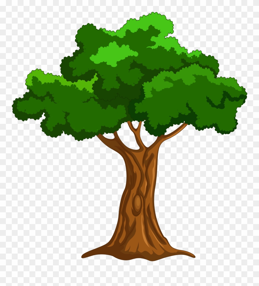 Cartoon Tree Png Clip Art - Big Book Of Beginner Reading Stories By Naomi Bradley Transparent Png