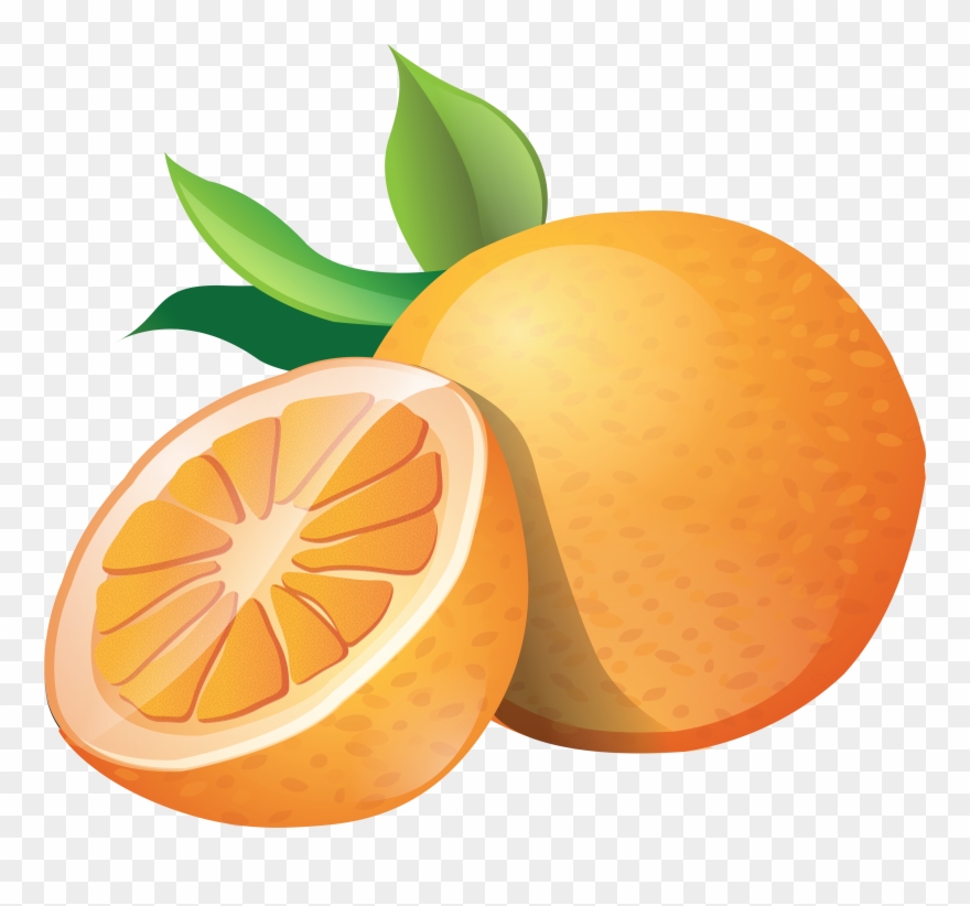 Clip Art Orange Clipart - Orange Clip Art Png Transparent Png