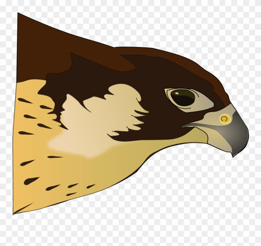 Hawk Clip Art Free - Hawk Clipart - Png Download
