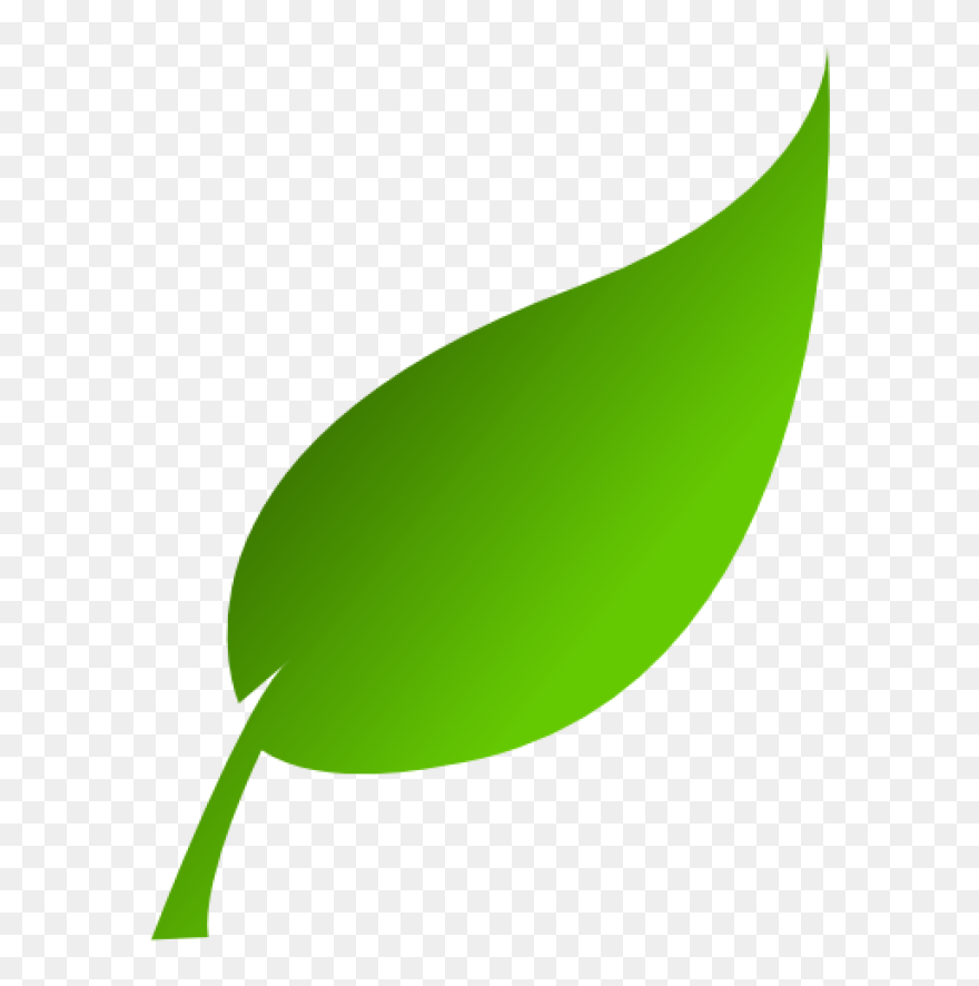 Similar Cliparts - - Single Green Leaf Clip Art - Png Download