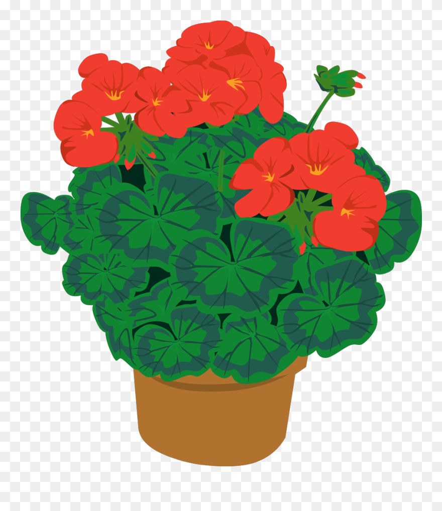 Geramium In A Pot Svg Vector File, Vector Clip Art - Potted Plants Clipart - Png Download