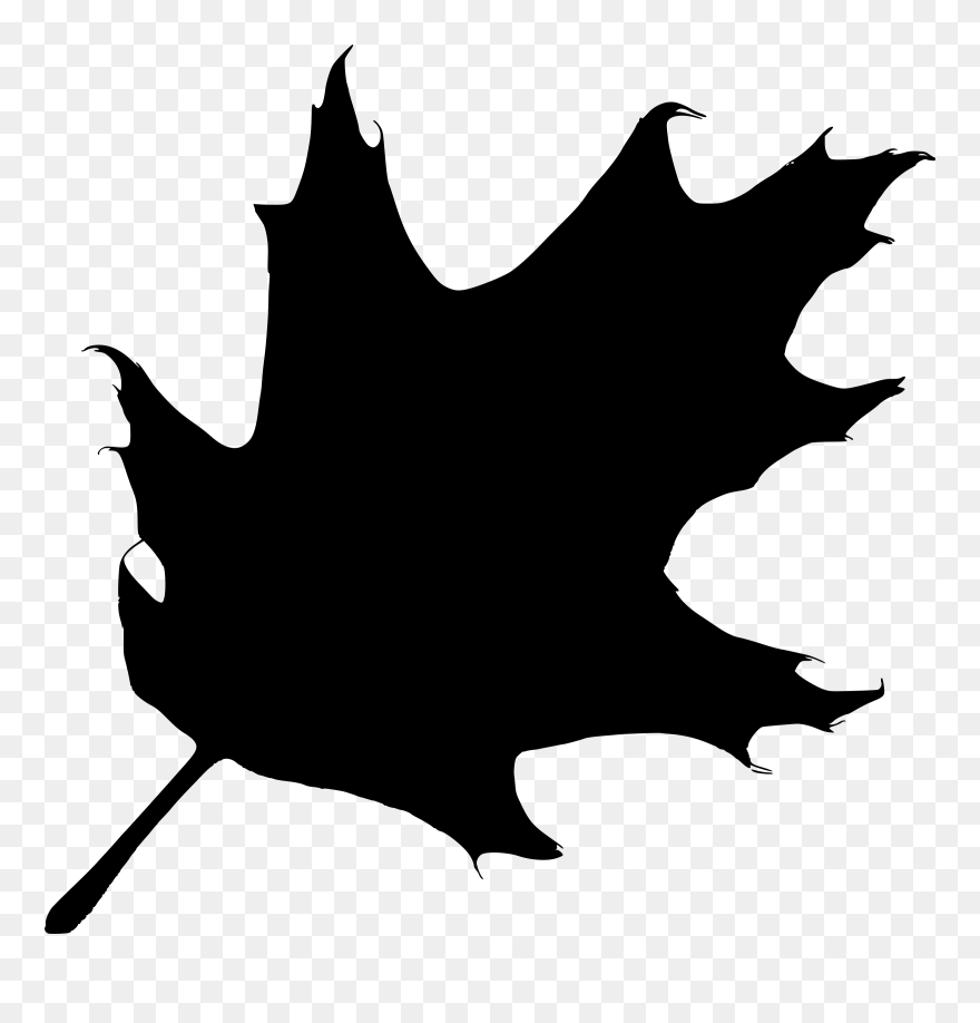 Oak Leaf Silhouette Free Vector 4vector - Leaf Silhouette Clip Art - Png Download