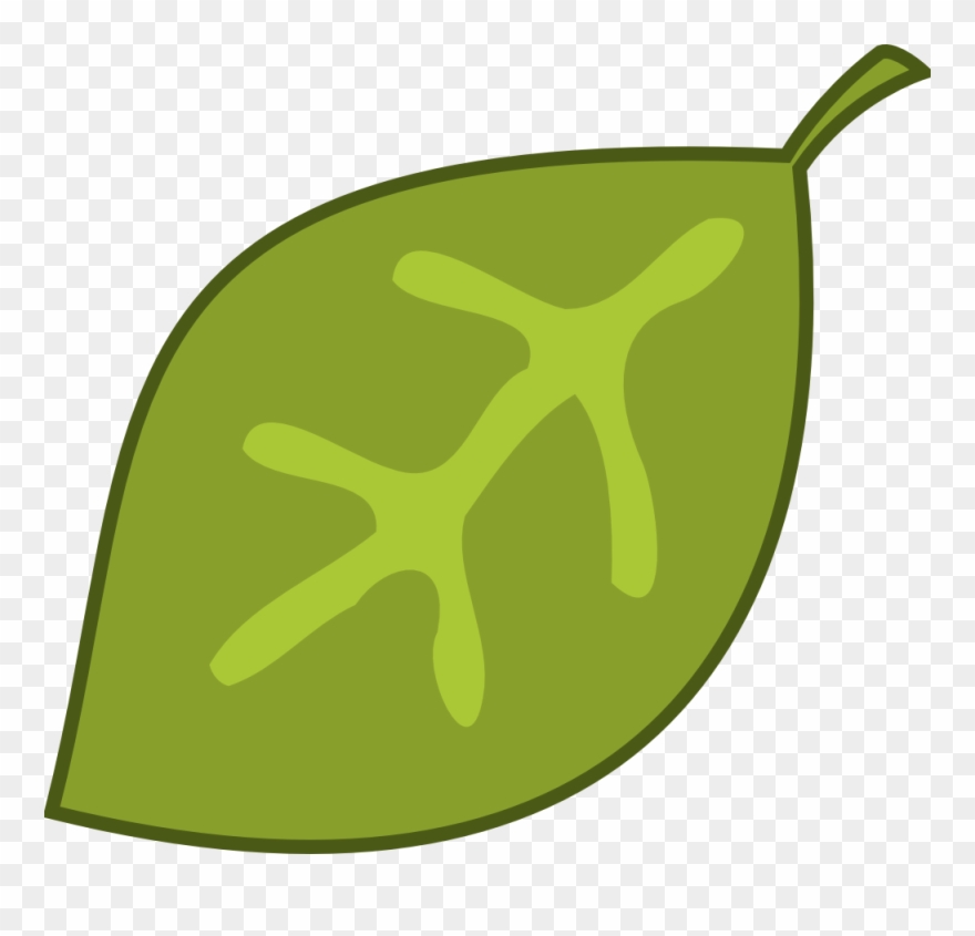 Jungle Leaves Clip Art 5 At Maturka Clipart Clipart - Jungle Leaf Clipart - Png Download