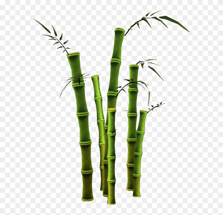 Barbecue Clipart Memorial Day - Bamboo Tree Png Transparent Png