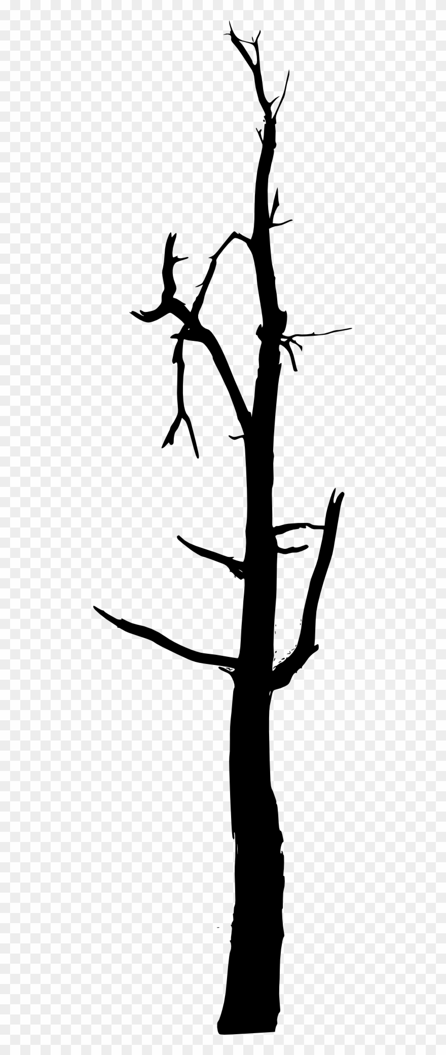 Svg Library Bare Tree Clipart Black And White - Simple Bare Tree Silhouette - Png Download