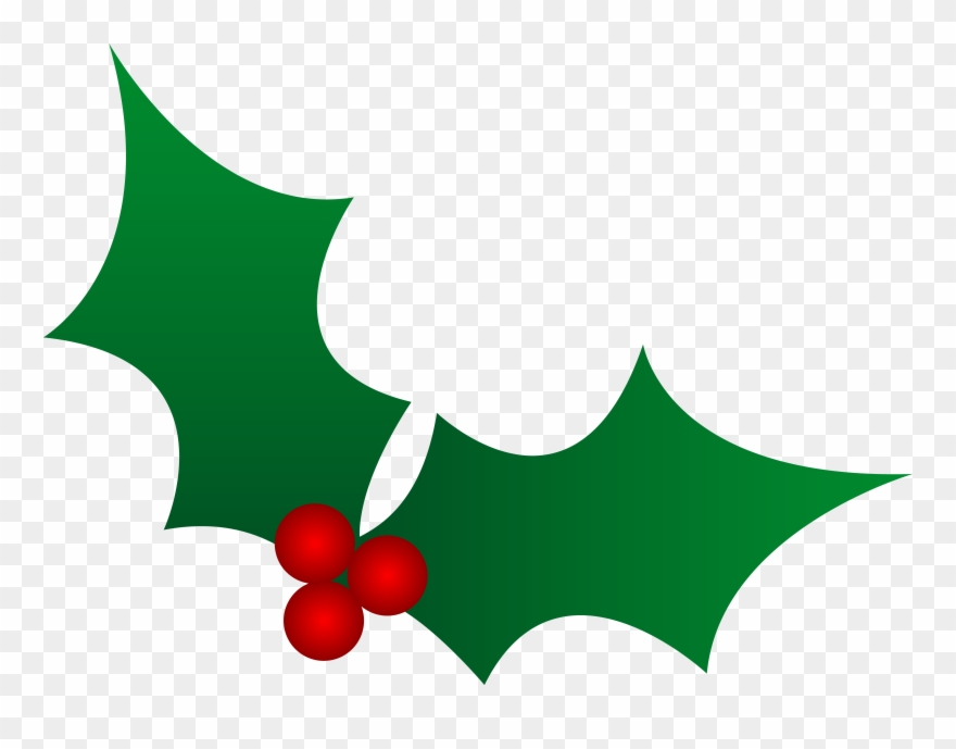 Poinsettia Clipart Boughs Holly - Holly Clipart - Png Download