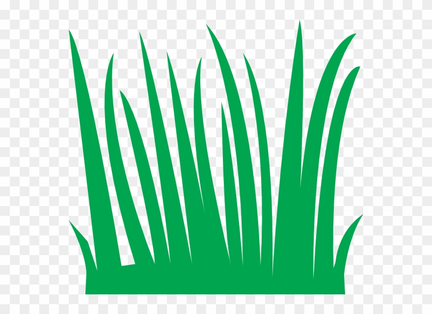 Grass Clipart - Cartoon Blades Of Grass - Png Download