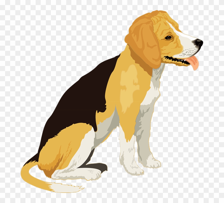 Real Dog Cliparts - Dog Free Clip Art - Png Download