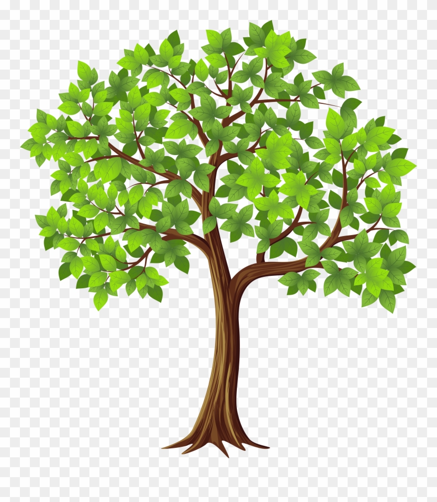 Transparent Tree Cliparts Free Download Clip Art - Fig Tree Clip Art - Png Download