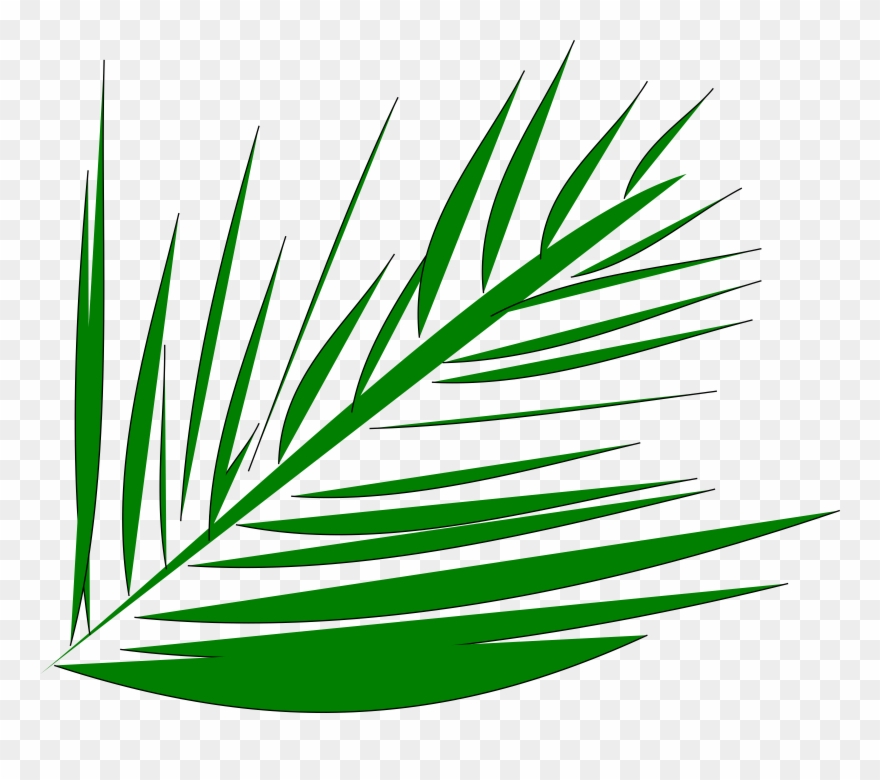 Big Image - Palm Trees Lent Transparent Background Clipart