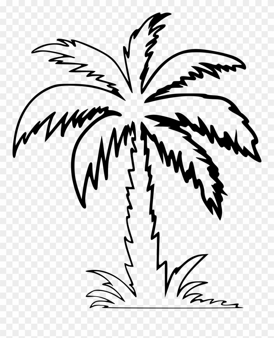 Clipart - Clip Art Palm Tree - Png Download