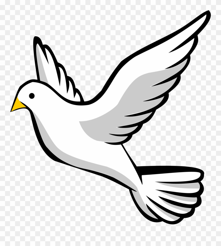 Dove Pictures Clip Art 19 Dove Svg Freeuse Huge Freebie - Transparent Background Dove Clipart - Png Download