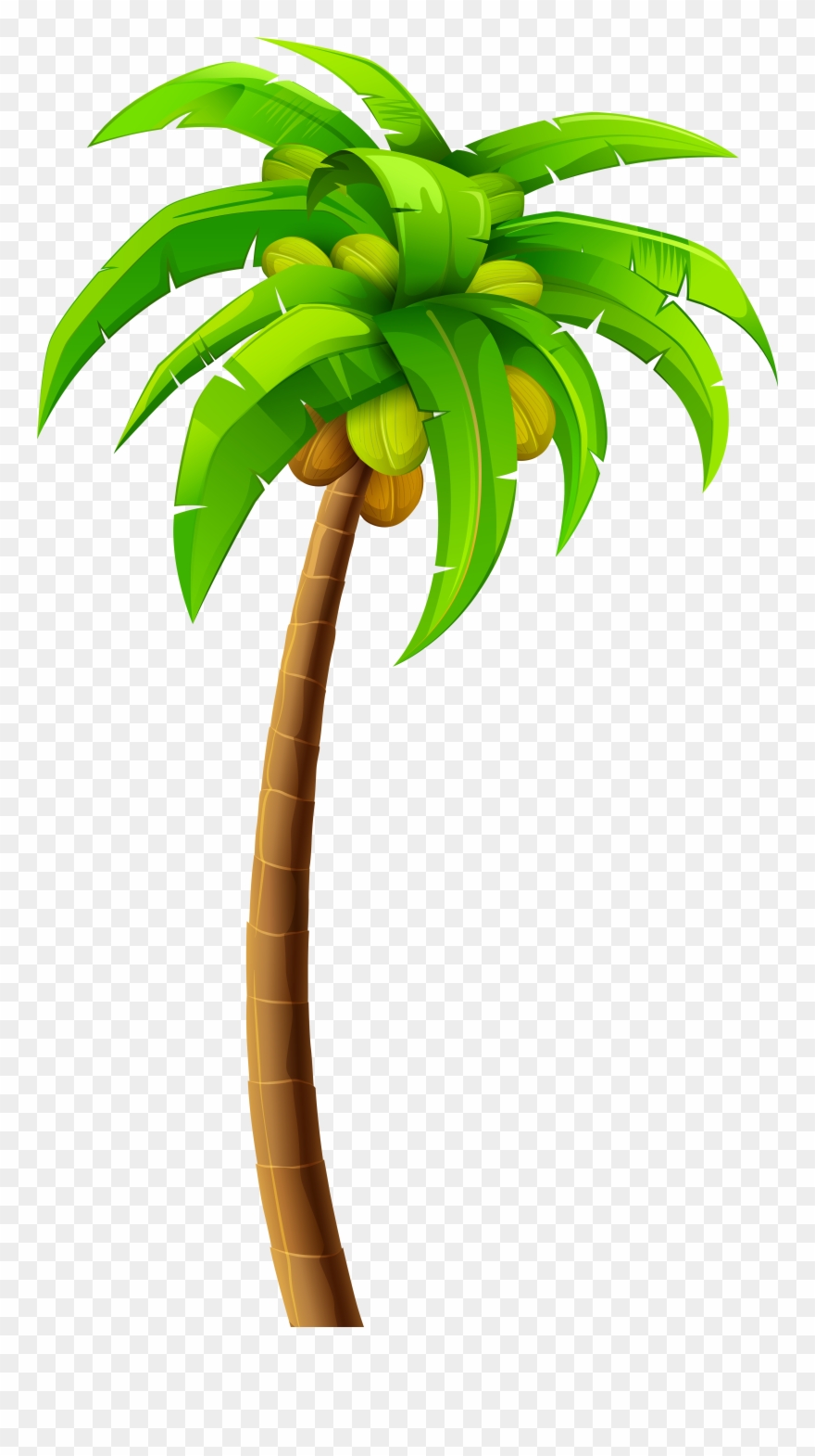 Palm Png Clip Art - Palm Tree Clipart Png Transparent Png