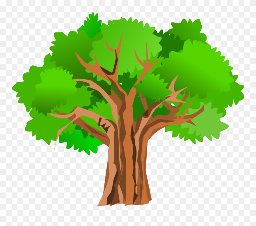 Clip Arts Related To - Tree Clip Art Transparent - Png Download