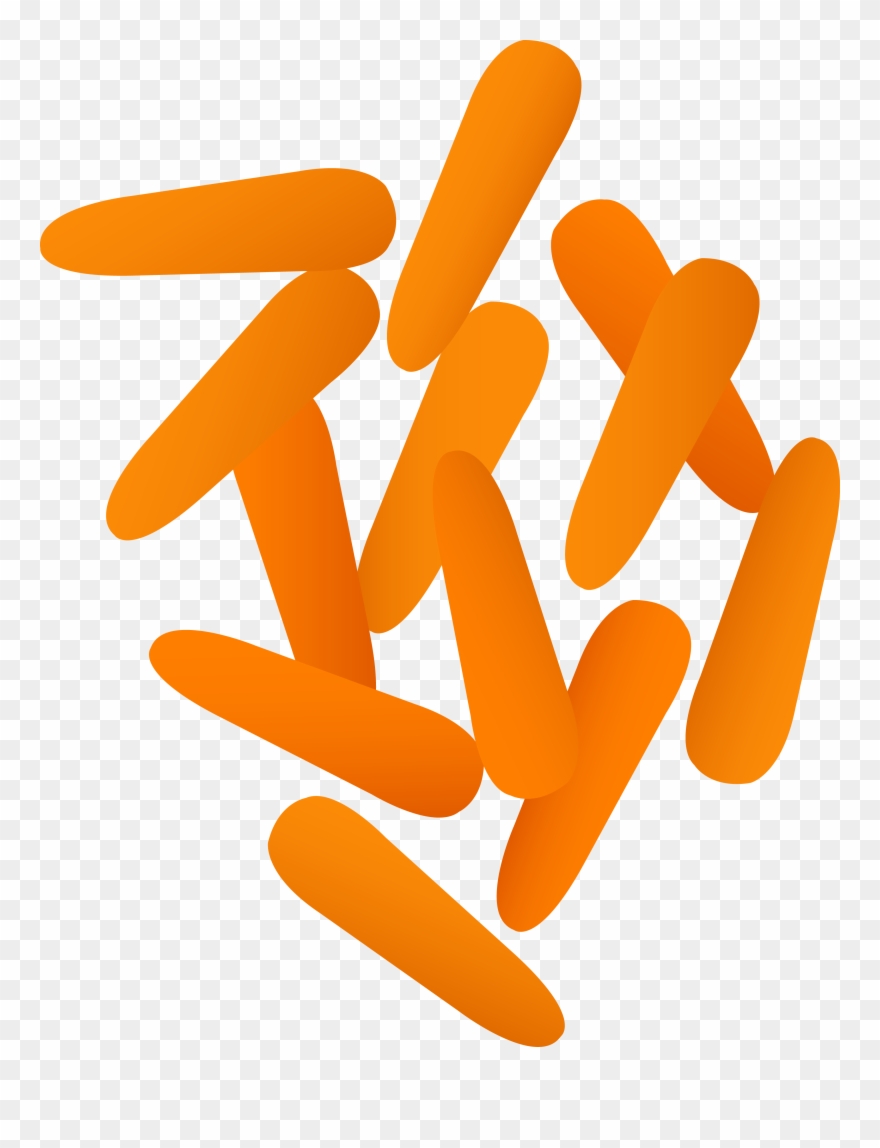 Free Carrot Clip Art Cartoon - Baby Carrots Clipart - Png Download