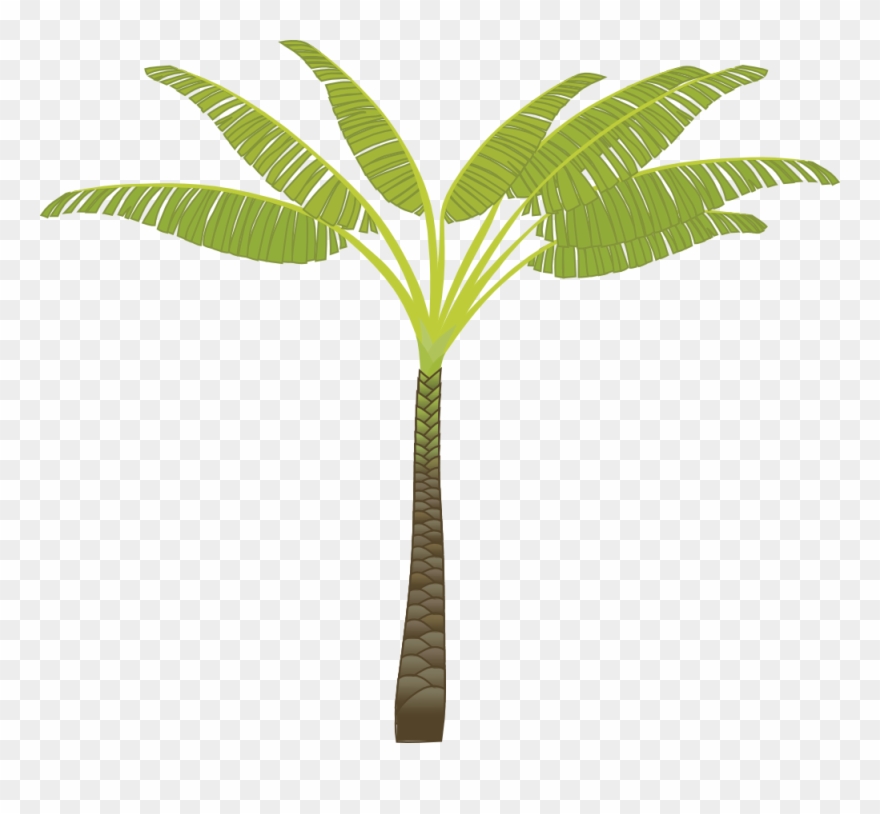 Palm Tree Png Clip Arts - Tribe Has Spoken. Mug Transparent Png