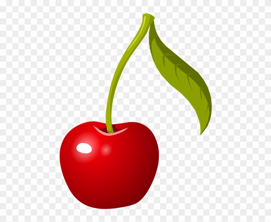 Search Clipart, Icons, Images And Photo - Cherry Clipart - Png Download