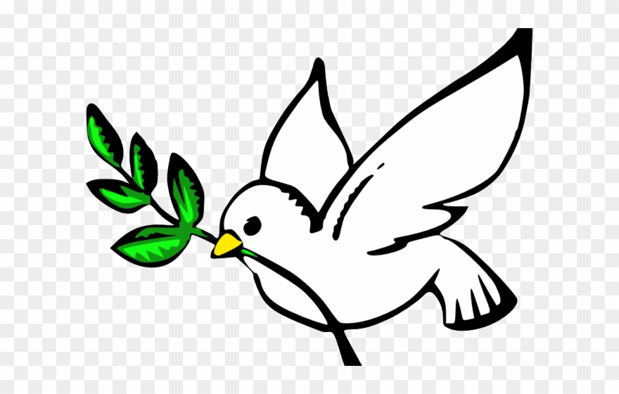 Dove Pictures Clip Art Dove Clipart For Free Download - Transparent Background Dove Clipart - Png Download
