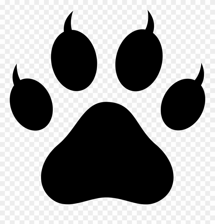 Cat Footprints Clipart - Cat Paw - Png Download