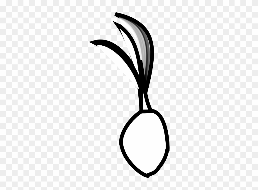 Black - Coconut - Coconut - Seed - Coconut Seed Clip Art Black And White - Png Download