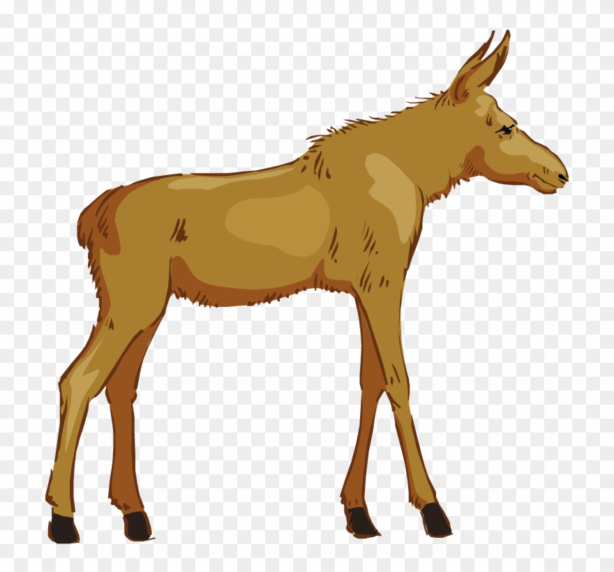 Free Moose Clipart - Moose Clipart Free No Background - Png Download